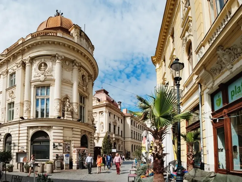 Tururi organizate cu ghid local prin Bucureștiul istoric și împrejurimi